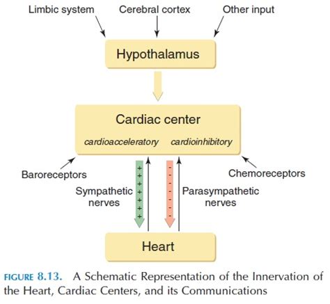 Cardiac Center .